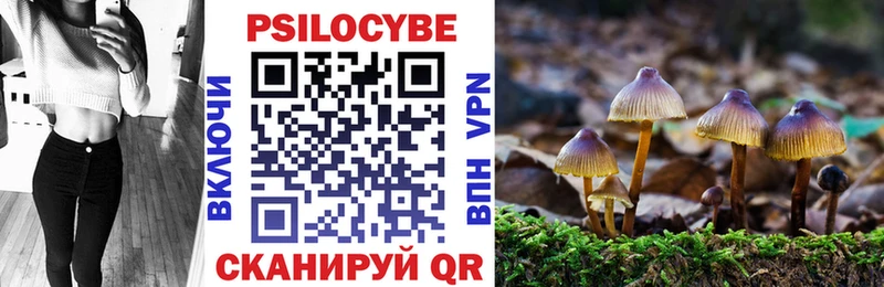 Псилоцибиновые грибы мухоморы  Терек 